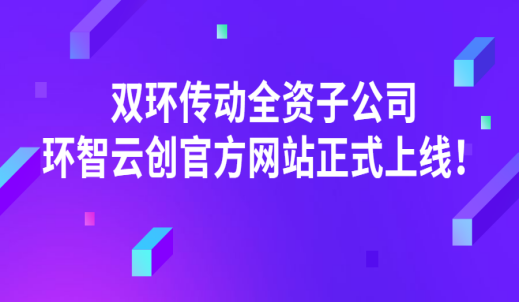 雙環